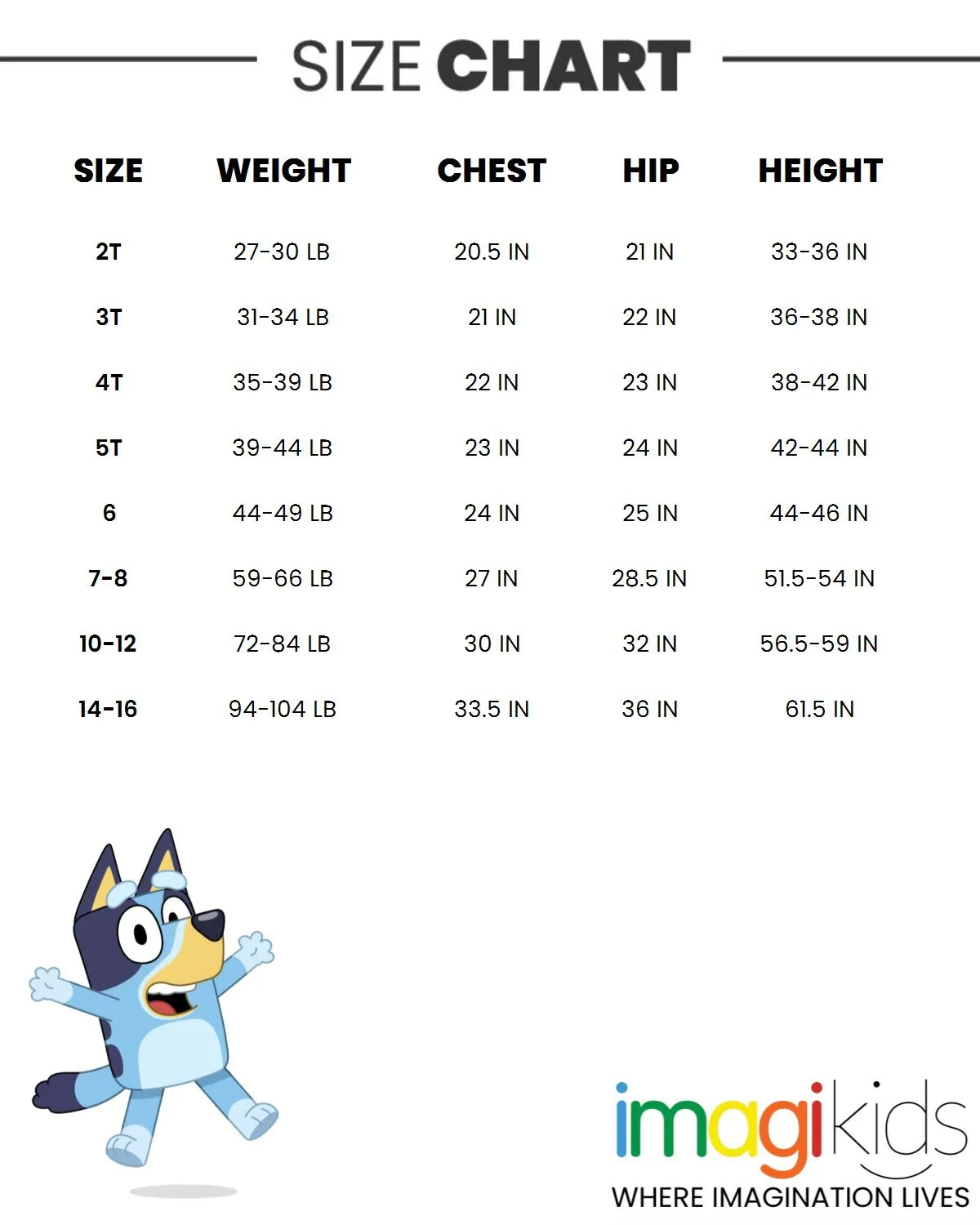 Bluey Christmas Fleece Sweatshirt and Jogger Pants Outfit Set