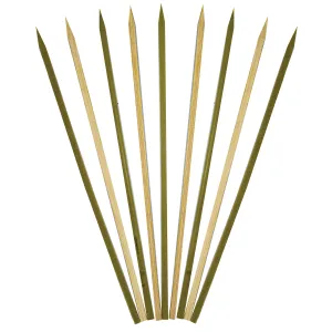 Reusable Flat Skewers Set 50